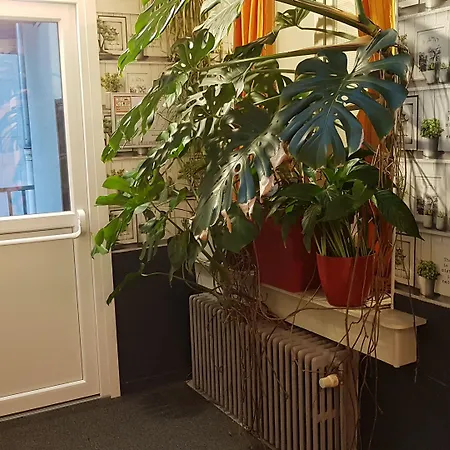 Au Spatial فندق *